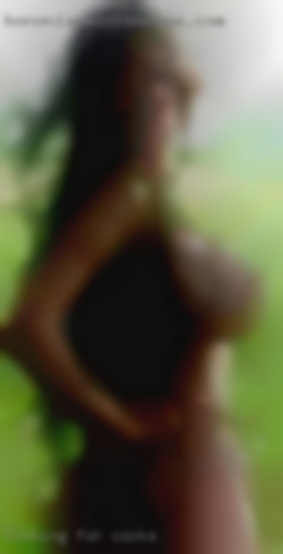 Looking for cocks for some fun without the hassle.